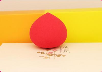 fruit shape sponge
